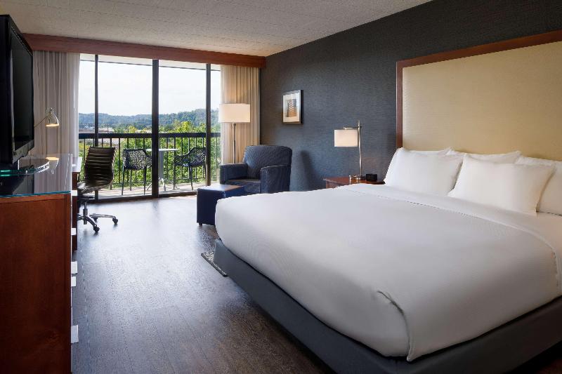 اتاق استاندارد یک نفره, Terminus Orléans Paris