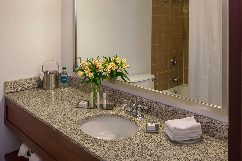 اتاق استاندارد یک نفره, Terminus Orléans Paris