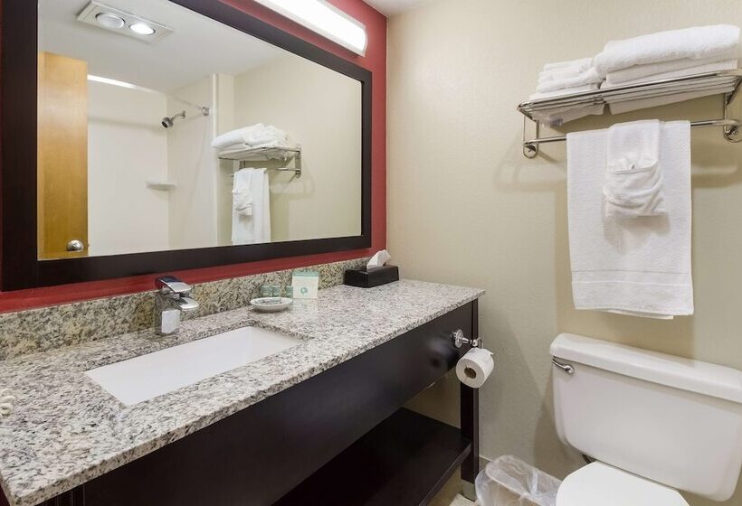 스탠다드 룸 더블 침대 2개, Best Western Braddock Inn