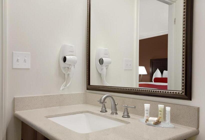 غرفة قياسية سرير كينج لذوى الإحتياجات الخاصة, Best Western Plus La Midtown