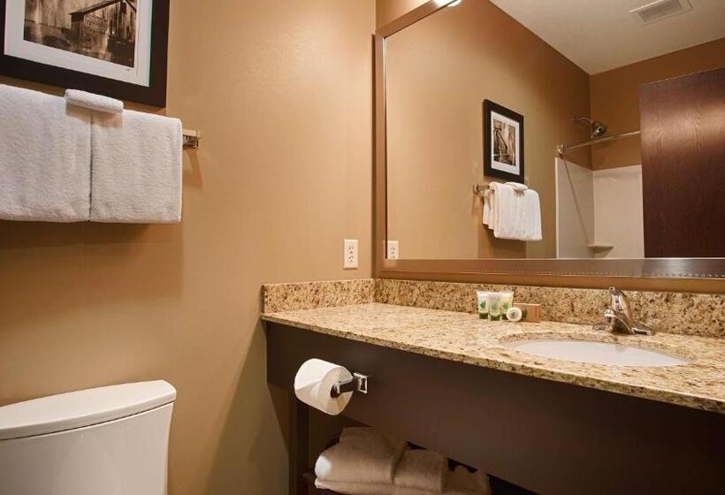 חדר סטנדרט עם מיטת קינג, Best Western Plus Night Watchman Inn & Suites