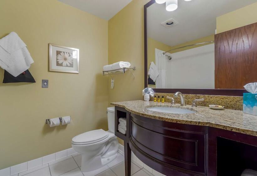 带2个双人床的标准工作室, Best Western Plus Plaza By The Green