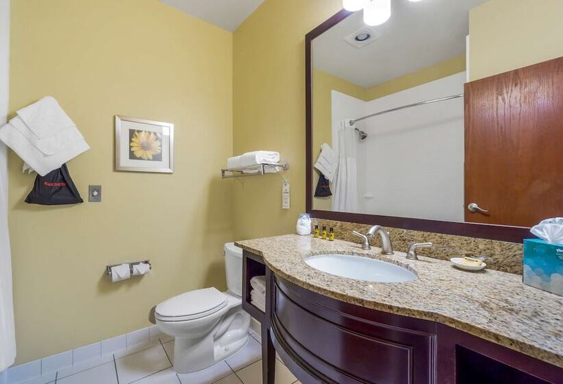 标准间带双人床, Best Western Plus Plaza By The Green