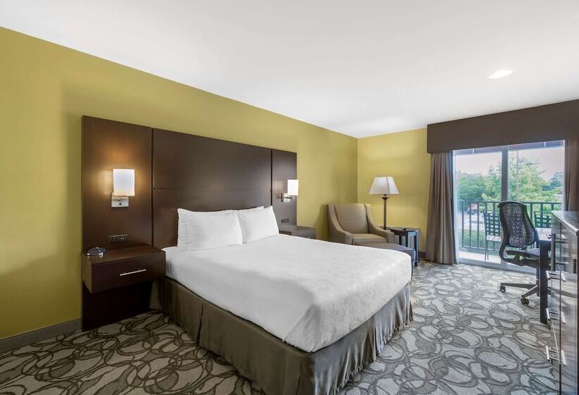 标准间带双人床, Best Western Plus Plaza By The Green