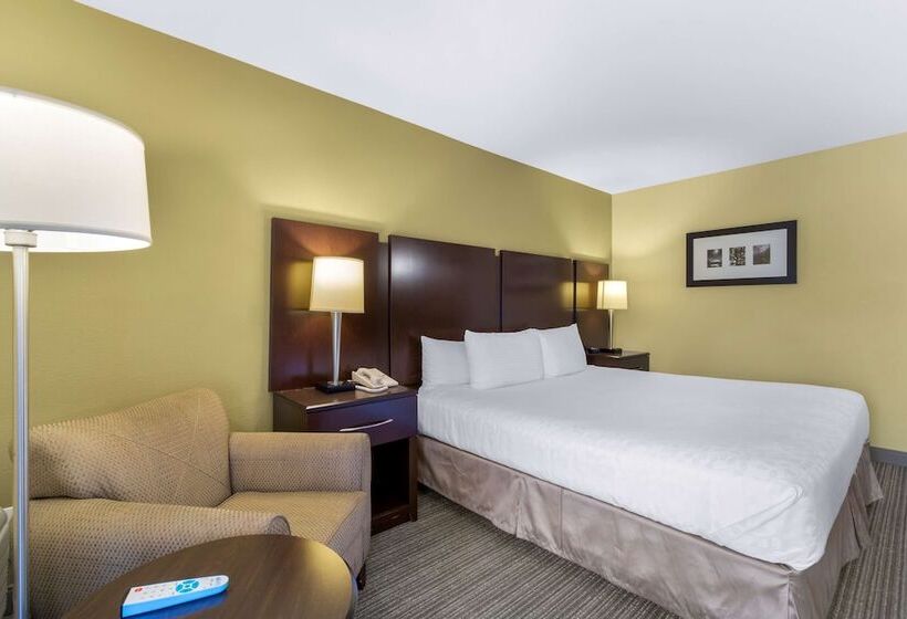 标准间带双人床, Best Western Plus Plaza By The Green