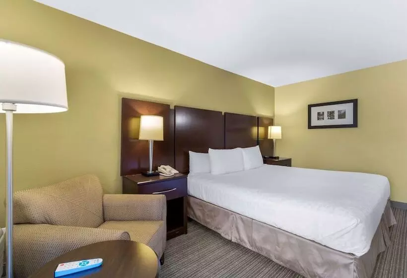 اتاق استاندارد با تخت دوبل, Best Western Plus Plaza By The Green