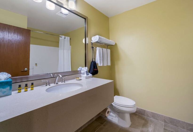 标准间带双人床, Best Western Plus Plaza By The Green