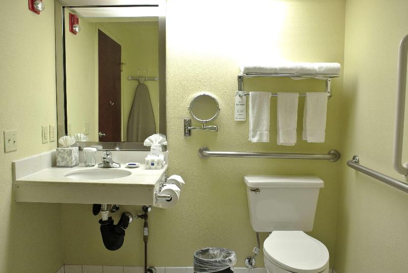 适合残疾人使用的标准间, Best Western Plus Plaza By The Green