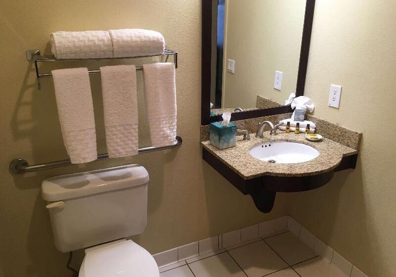 适合残疾人使用的标准间, Best Western Plus Plaza By The Green