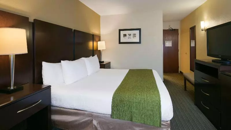 اتاق استاندارد با تخت بزرگ, Best Western Plus Plaza By The Green