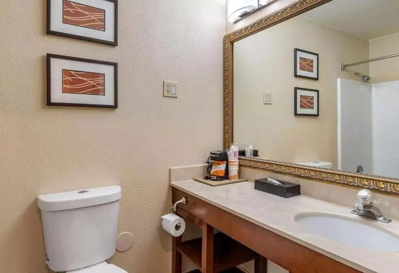 اتاق استاندارد با تخت بزرگ, Comfort Inn & Suites