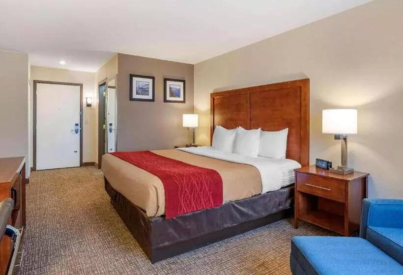 اتاق استاندارد با تخت بزرگ, Comfort Inn & Suites
