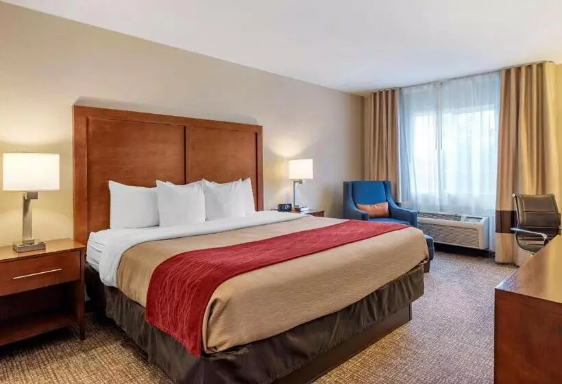 اتاق استاندارد با تخت بزرگ, Comfort Inn & Suites