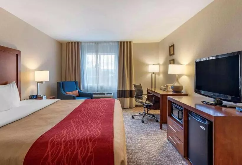 اتاق استاندارد با تخت بزرگ, Comfort Inn & Suites