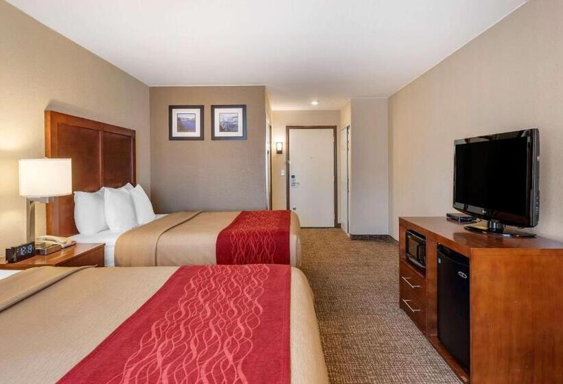 غرفة قياسية, Comfort Inn & Suites