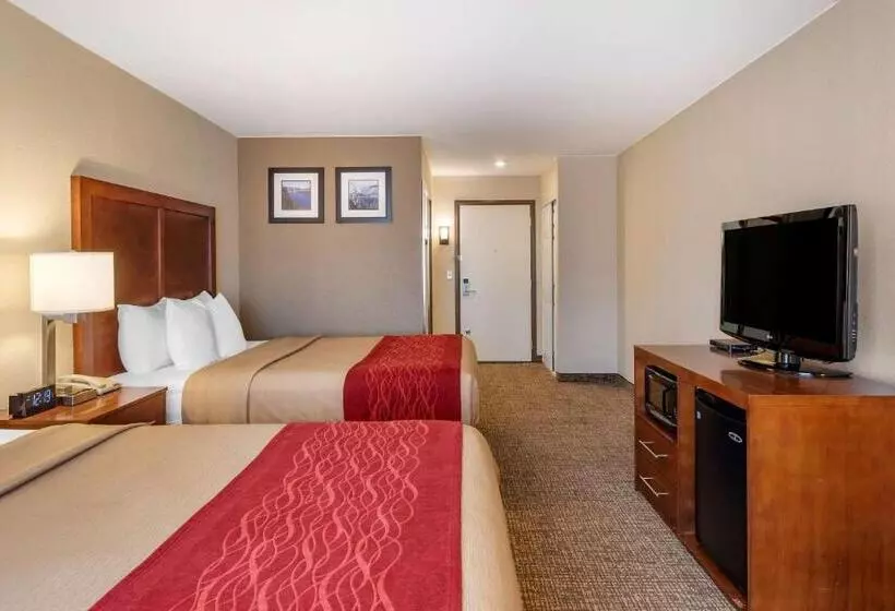 اتاق استاندارد, Comfort Inn & Suites