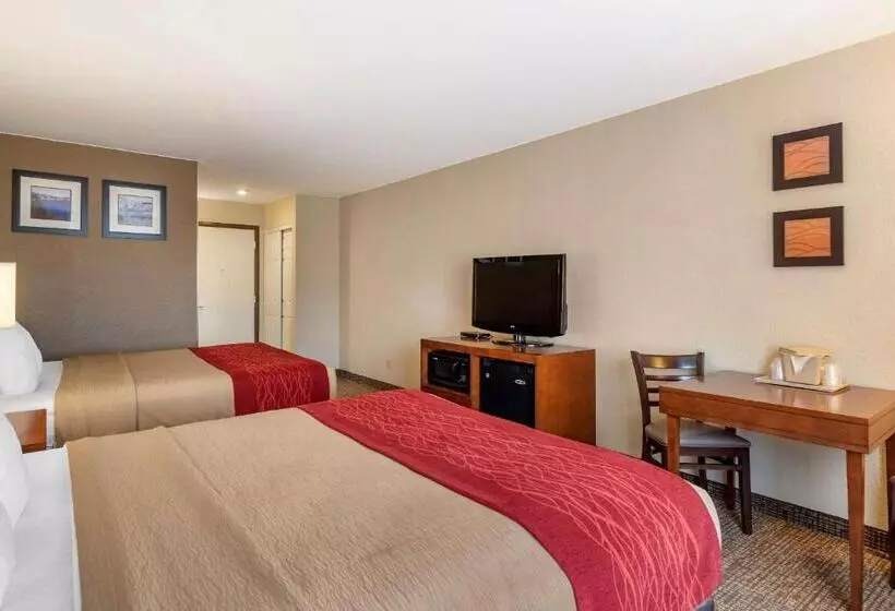 اتاق استاندارد, Comfort Inn & Suites