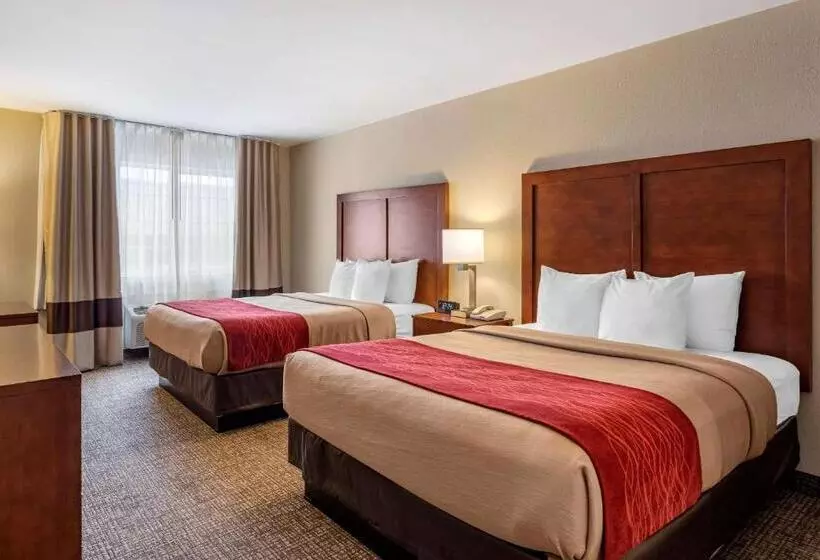 اتاق استاندارد, Comfort Inn & Suites