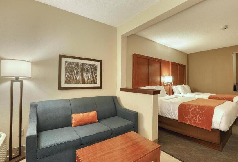 套房带泳池景, Comfort Suites Appleton Airport