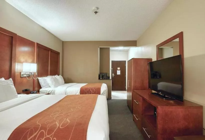 سوییت با چشم‌انداز استخر, Comfort Suites Appleton Airport