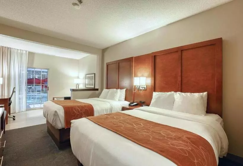 سوییت با چشم‌انداز استخر, Comfort Suites Appleton Airport
