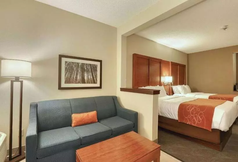سوییت با چشم‌انداز استخر, Comfort Suites Appleton Airport