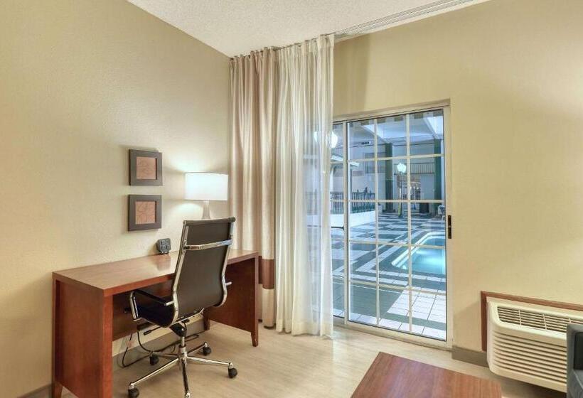 套房带泳池景, Comfort Suites Appleton Airport