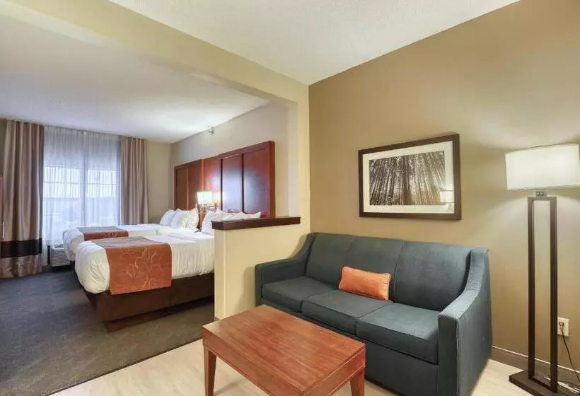 سوییت, Comfort Suites Appleton Airport