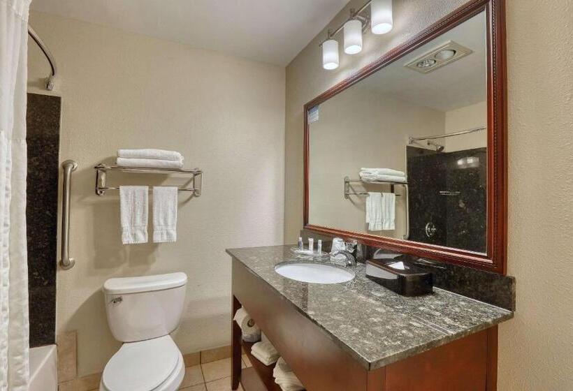 套房, Comfort Suites Appleton Airport