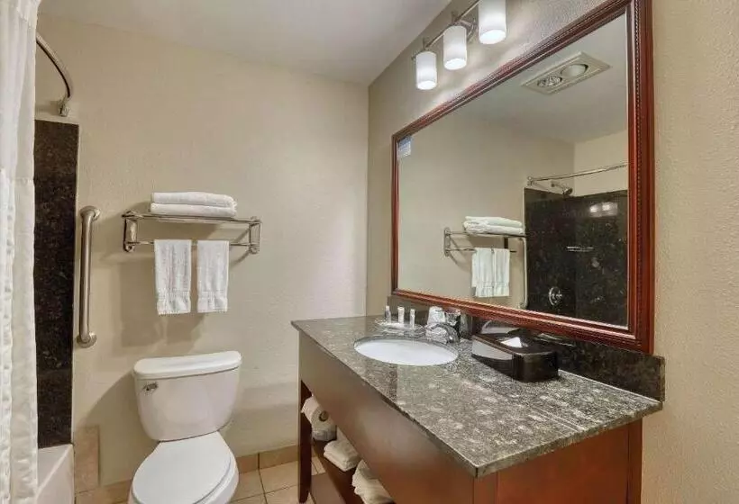 سوییت, Comfort Suites Appleton Airport