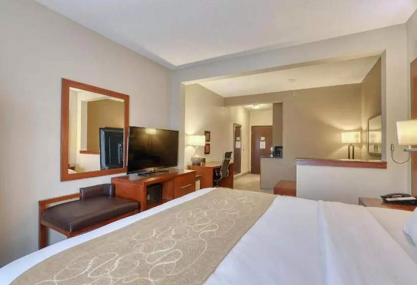 سوئیت با تخت بزرگ, Comfort Suites Appleton Airport