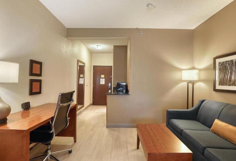 Люкс Кровать Кинг, Comfort Suites Appleton Airport