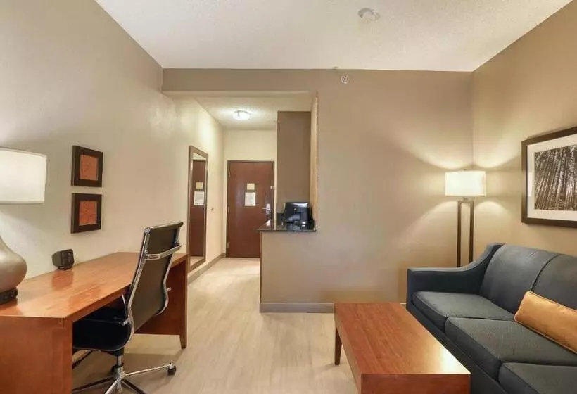 سوئیت با تخت بزرگ, Comfort Suites Appleton Airport