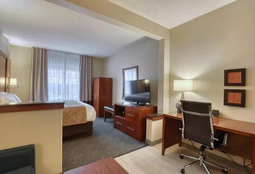 سوئیت با تخت بزرگ, Comfort Suites Appleton Airport