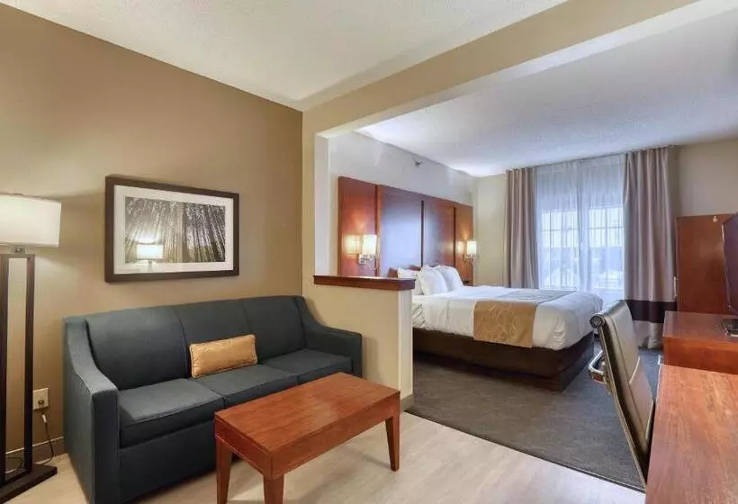 سوئیت با تخت بزرگ, Comfort Suites Appleton Airport