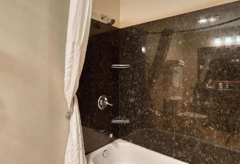 带大床的套房, Comfort Suites Appleton Airport