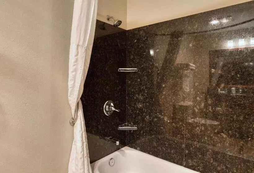 سوئیت با تخت بزرگ, Comfort Suites Appleton Airport