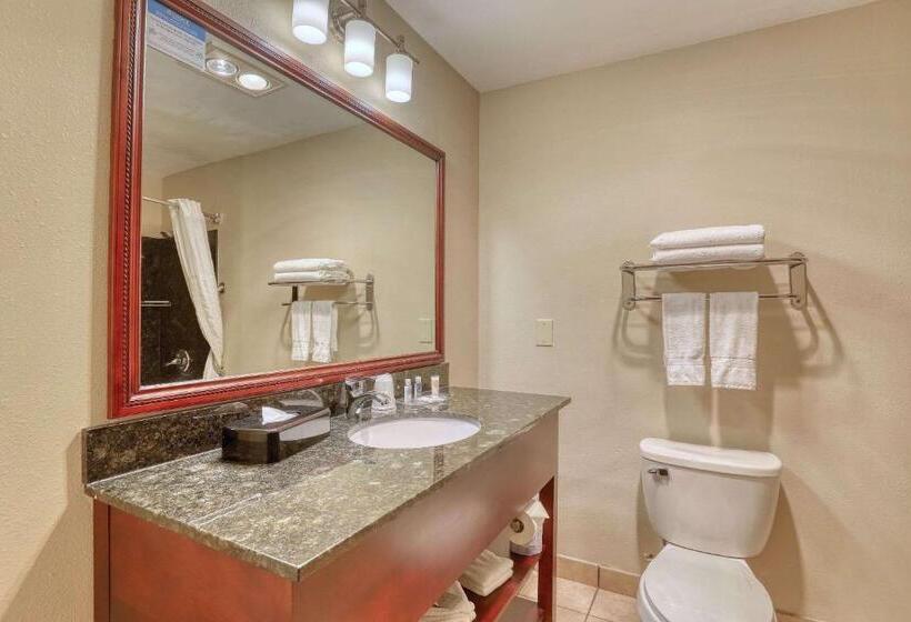 Люкс Кровать Кинг, Comfort Suites Appleton Airport