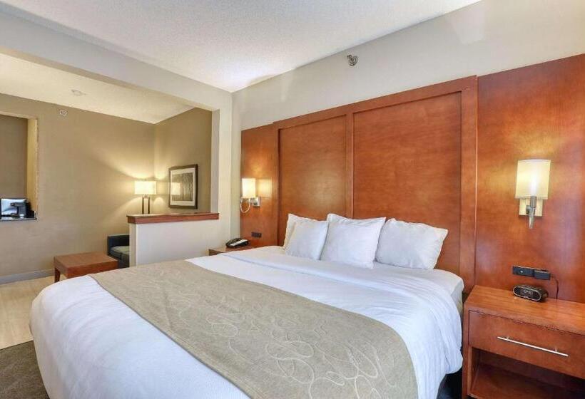 带大床的套房, Comfort Suites Appleton Airport