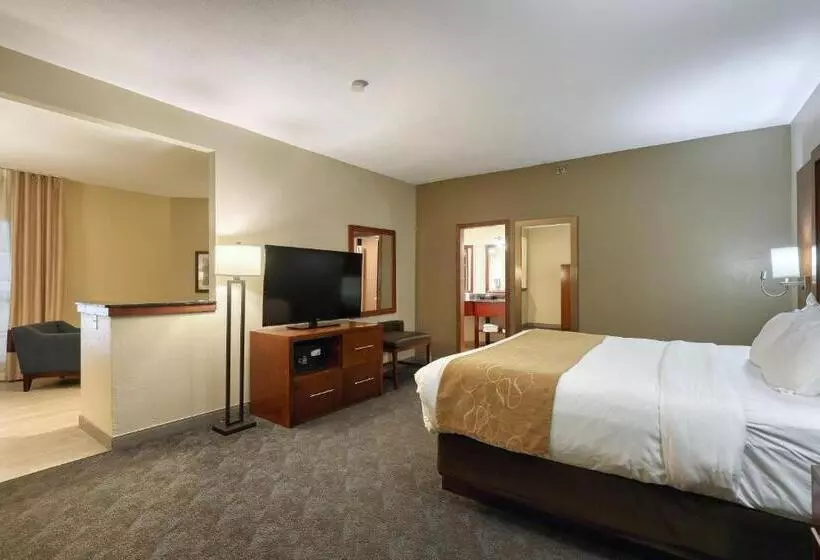 سوئیت اجرایی با تخت کینگ, Comfort Suites Appleton Airport