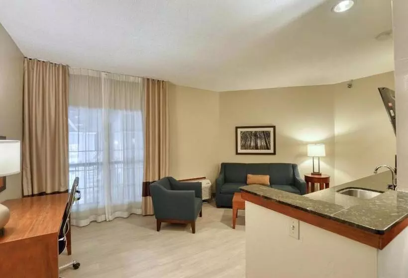 سوئیت اجرایی با تخت کینگ, Comfort Suites Appleton Airport