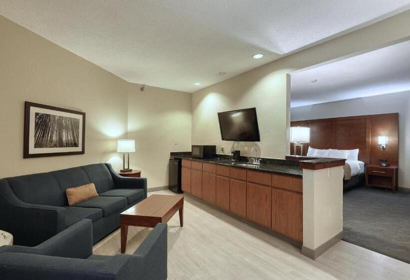 带双人大床的行政管理套房, Comfort Suites Appleton Airport