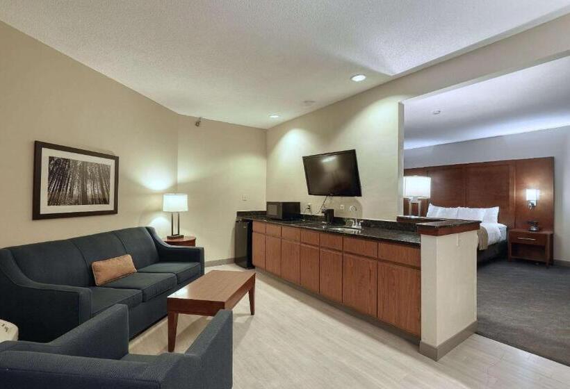 带双人大床的行政管理套房, Comfort Suites Appleton Airport