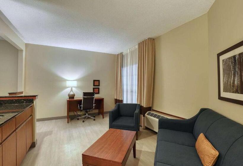 带双人大床的行政管理套房, Comfort Suites Appleton Airport