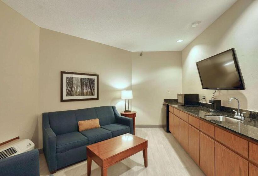 Люкс Executive Кровать Кинг, Comfort Suites Appleton Airport