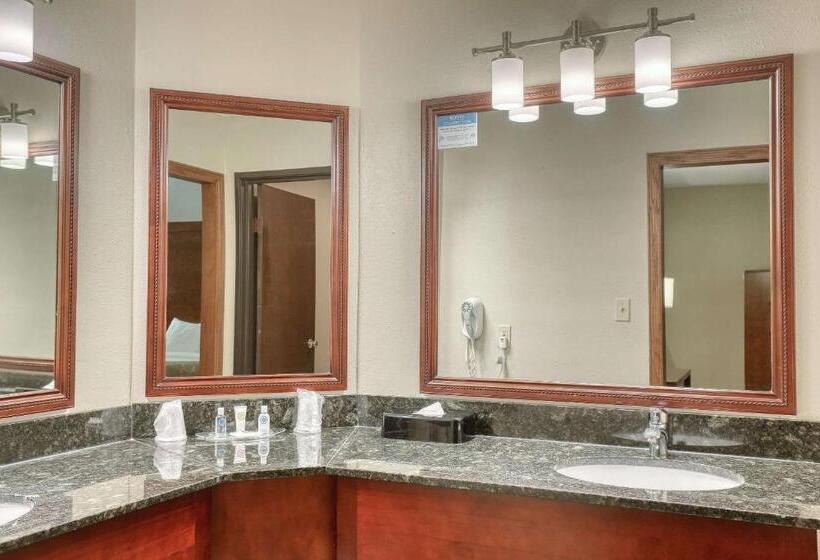 带双人大床的行政管理套房, Comfort Suites Appleton Airport