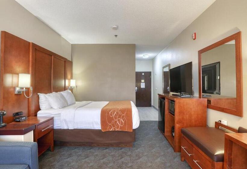 适合残疾人士使用的套间, Comfort Suites Appleton Airport