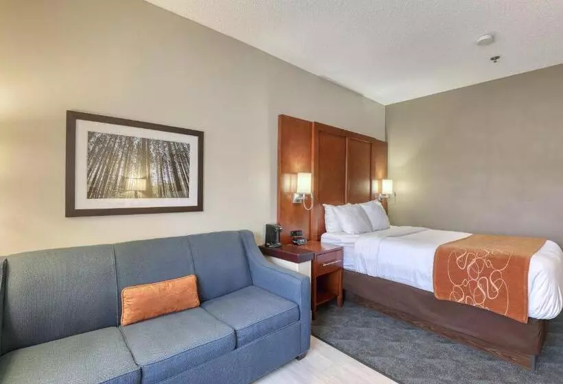 سوئیت برای معلولان, Comfort Suites Appleton Airport