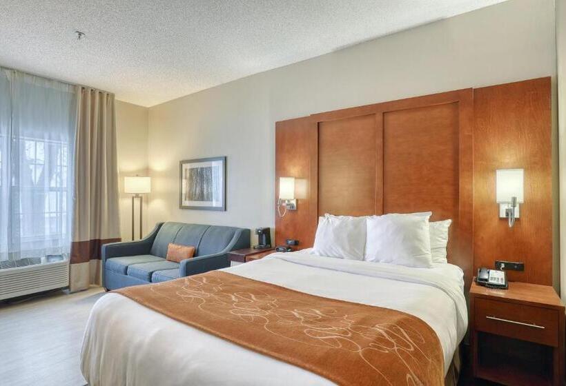 适合残疾人士使用的套间, Comfort Suites Appleton Airport