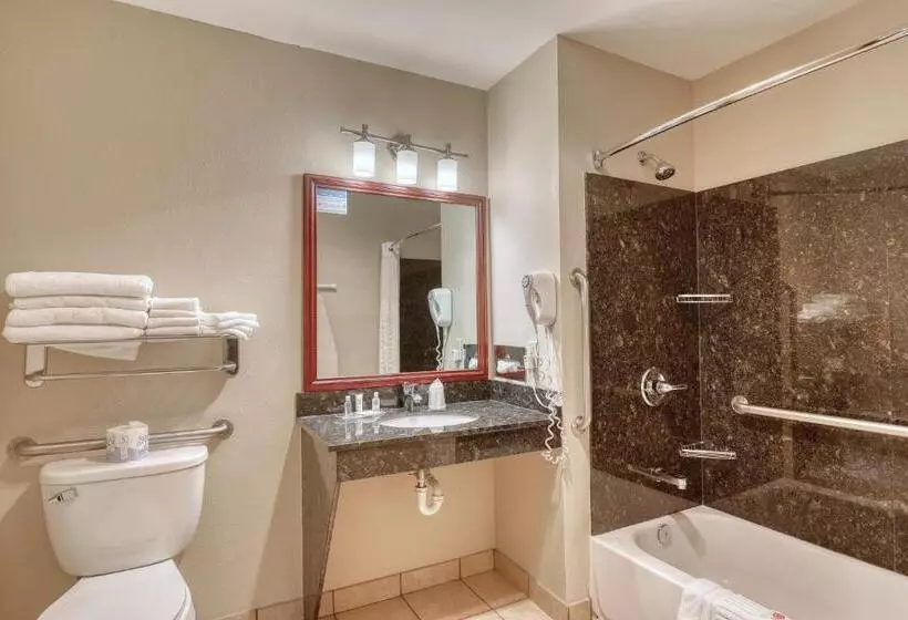 سوئیت برای معلولان, Comfort Suites Appleton Airport